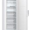 Морозильна камера Gorenje FN6191DHW